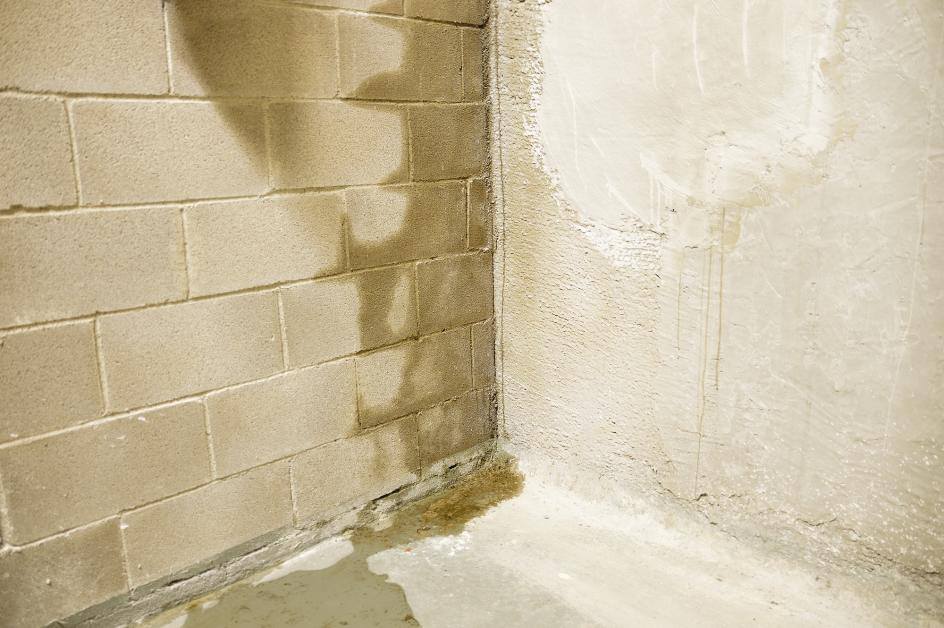 Biggest Problems Caused by Water Damage