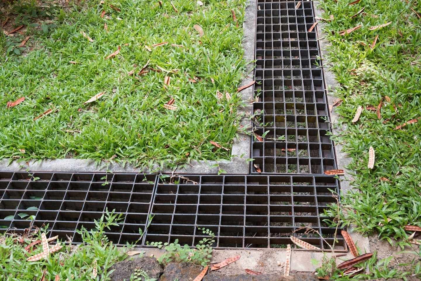 Common Questions Regarding Yard Drainage